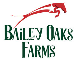 Houston summer camps Quillian